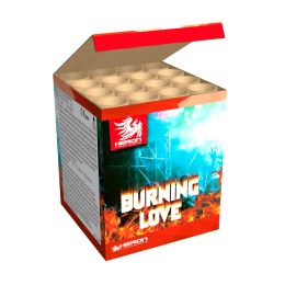 Burning Love